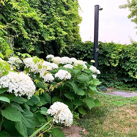 Malpassuti Carbonara Scrivia