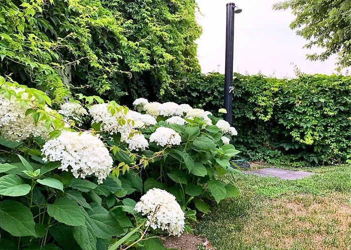 Malpassuti Carbonara Scrivia